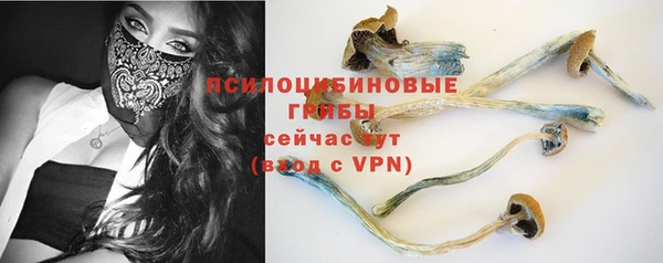 спиды Надым