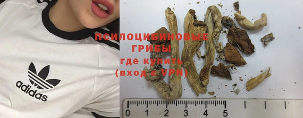 круглые Абаза